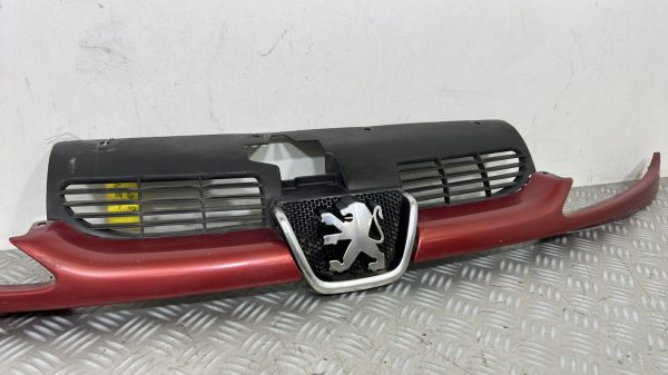 Calandre PEUGEOT 206 PHASE 1 – 9628691277