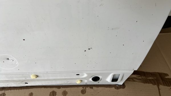 Porte avant droit RENAULT SCENIC 3 PHASE 2 – 801008349R