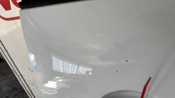 Porte avant droit RENAULT SCENIC 3 PHASE 2 – 801008349R