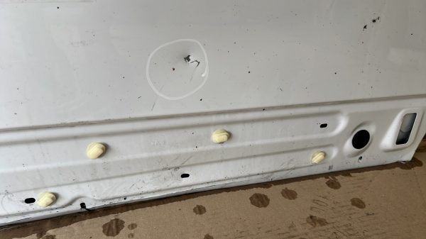 Porte avant droit RENAULT SCENIC 3 PHASE 2 – 801008349R