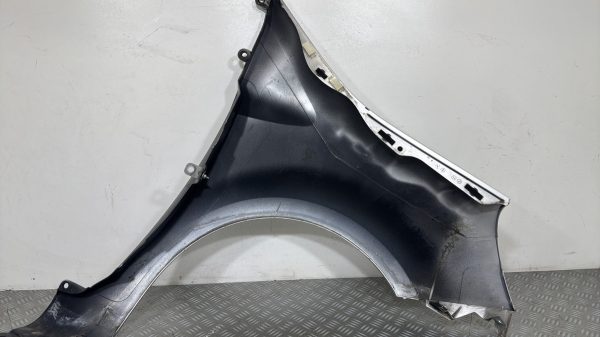 Aile avant gauche RENAULT GRAND MODUS PHASE 2 631019020R