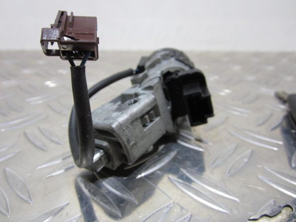 Neiman CITROEN C3 2 – N0502455 / N0502073 / 9649781080